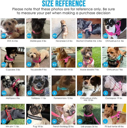 Lukovee No Pull Dog Harness and Leash Set, Soft Padded Small Dog Harness - Image 8