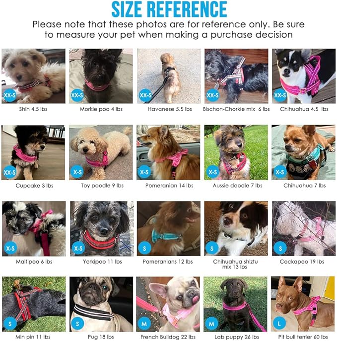 Lukovee No Pull Dog Harness and Leash Set, Soft Padded Small Dog Harness - Image 5