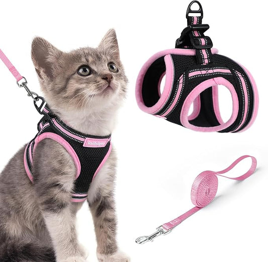 rabbitgoo Cat Harness and Leash, Step-in Escape Proof Kitten Harness Set by rabbitgoo