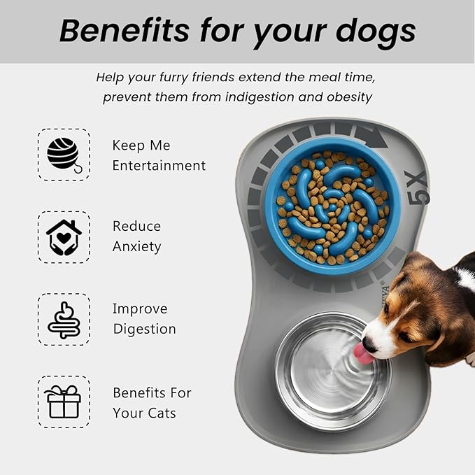 YINEYA 3 in 1 Slow Feeder Dog Bowls & Stainless Steel Food and Water Bowl - Image 3