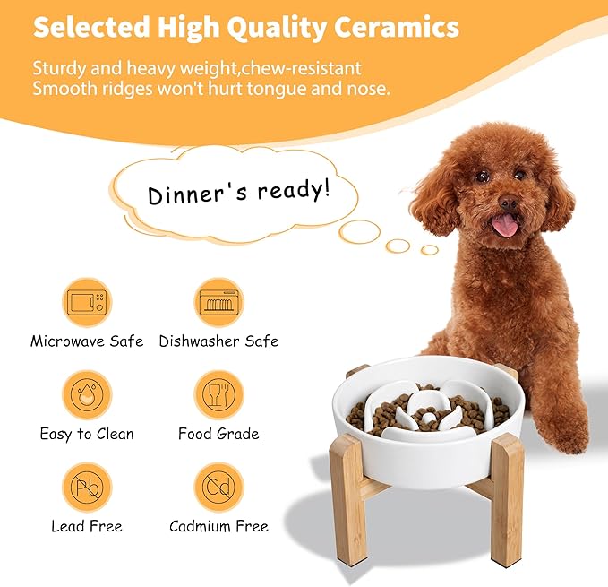 Elevated Slow Feeder Dog Bowl - Image 5