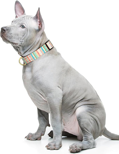 Reflective Dog Collar, Cute Dog Collar - Image 2