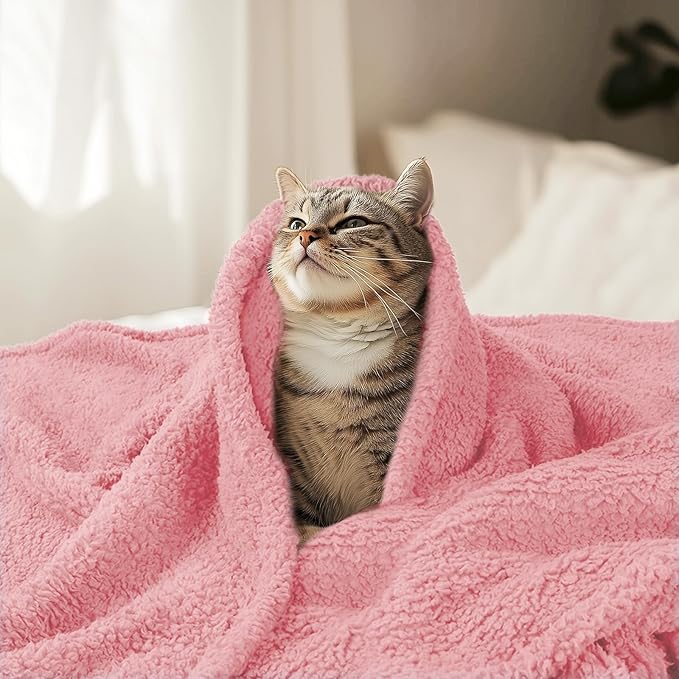 Luciphia Premium Fleece Pet Blanket - Image 6
