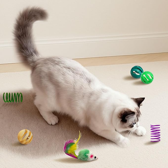 36 Pcs Interactive Cat Toys Set - Image 6