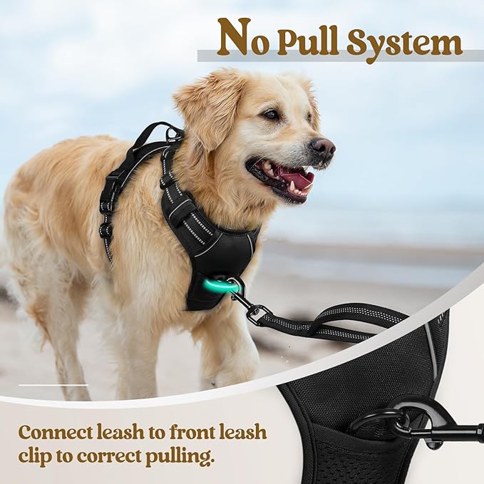 rabbitgoo Dog Harness No Pull - Image 5