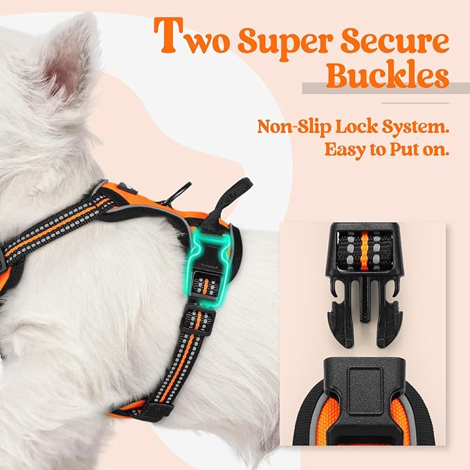 rabbitgoo Dog Harness No Pull - Image 3