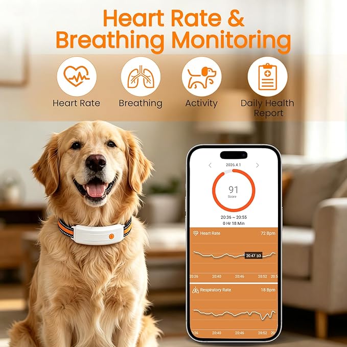 Wireless Dog Fence System, 4G LTE GPS Dog Collar - Image 2