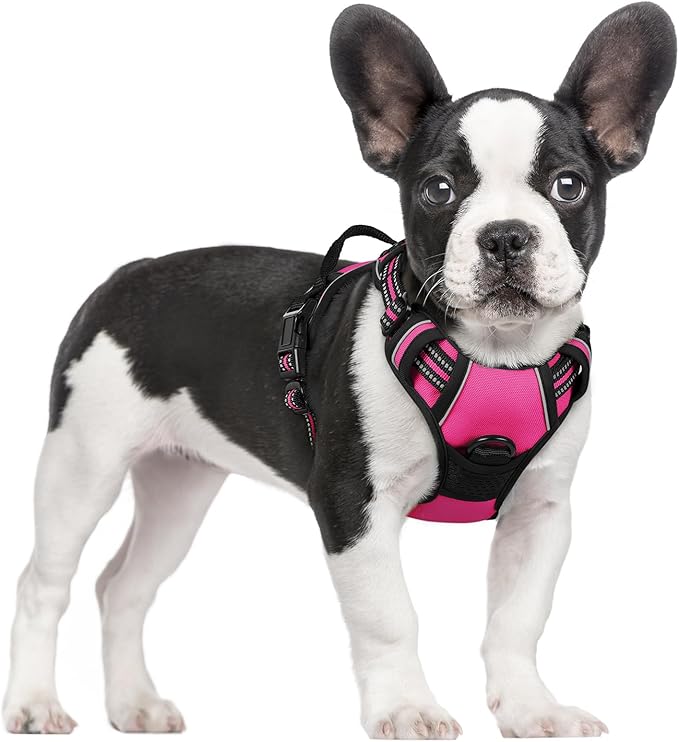 rabbitgoo Dog Harness No Pull by rabbitgoo