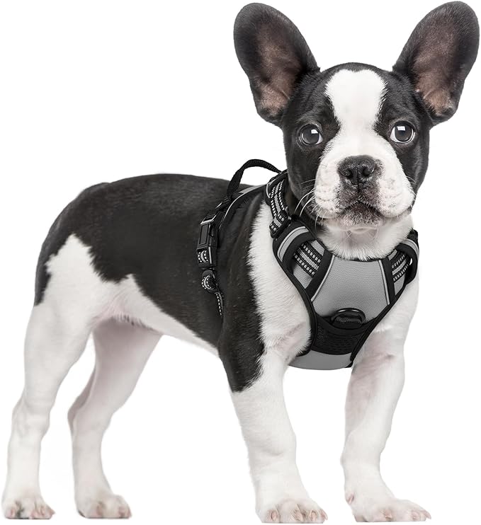 rabbitgoo Dog Harness No Pull by rabbitgoo