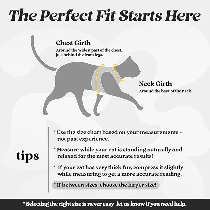 rabbitgoo Cat Harness and Leash, Step-in Escape Proof Kitten Harness Set - Image 2