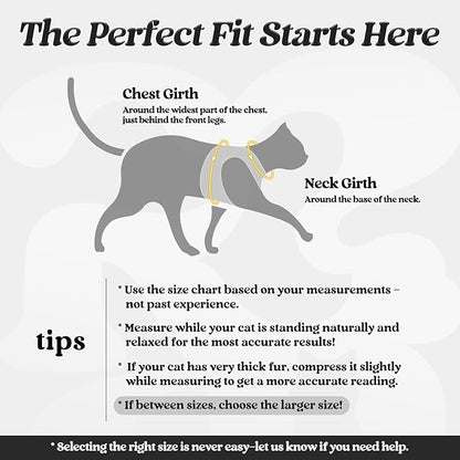 rabbitgoo Cat Harness and Leash, Step-in Escape Proof Kitten Harness Set - Image 2