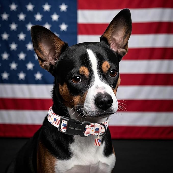 Unique style paws Dog Collar Plastic Buckle - Image 4
