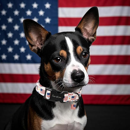 Unique style paws Dog Collar Plastic Buckle - Image 4