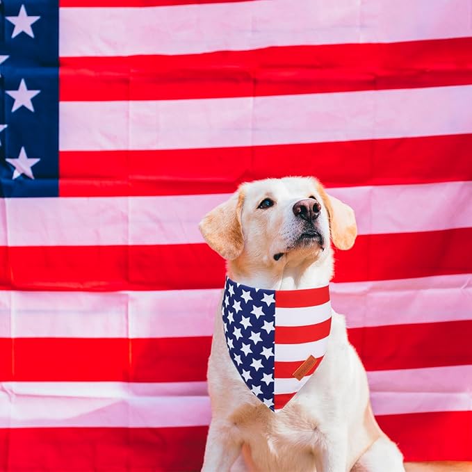 PTDECOR American Flag Dog Bandana 4th of July Dog Bandanas Reversible Triangle - Image 3