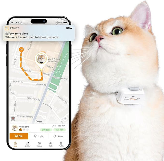 Pawfit Lite for Cats 4g GPS Tracker | Ultra-Small Design | Real-Time Tracking | by Pawfit