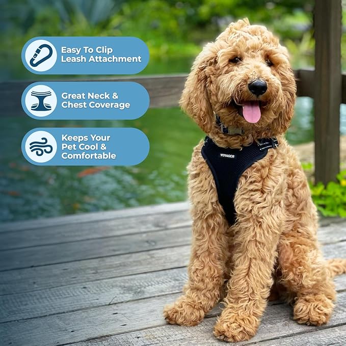 Best Pet Supplies Voyager Adjustable Step-in Flex Breathable Mesh Dog Harness - Image 6
