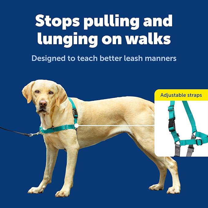 PetSafe Easy Walk No-Pull Dog Harness - Image 4