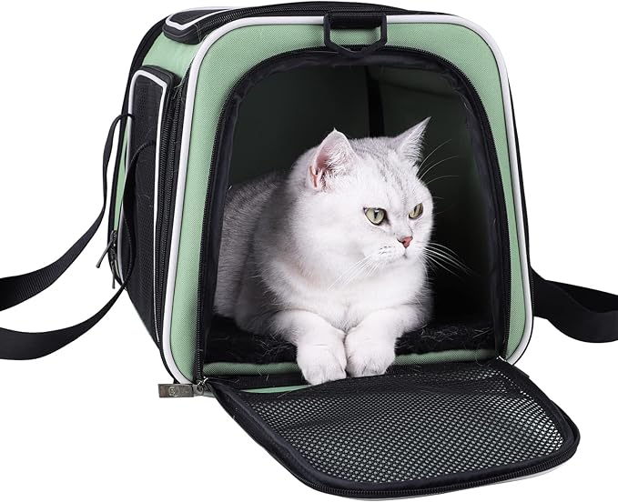 Top Load Cat Carrier for Medium Cats and Small Dogs by petisfam