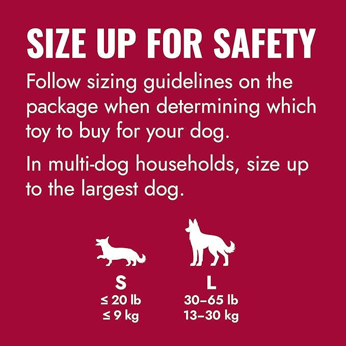 KONG Flyer - Durable Dog Toy for Outdoor Playtime - Natural Rubber Flying Disc - Image 2