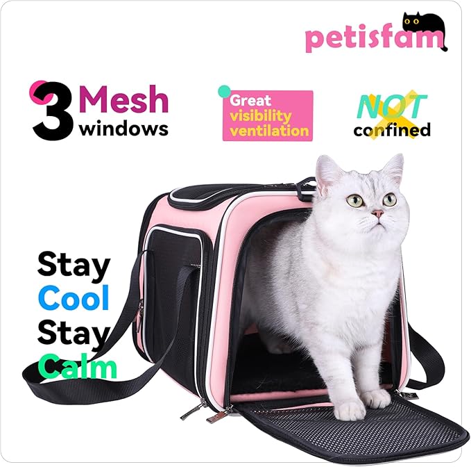 Soft Pet Carrier for Medium Cats and Small Dogs - Image 3