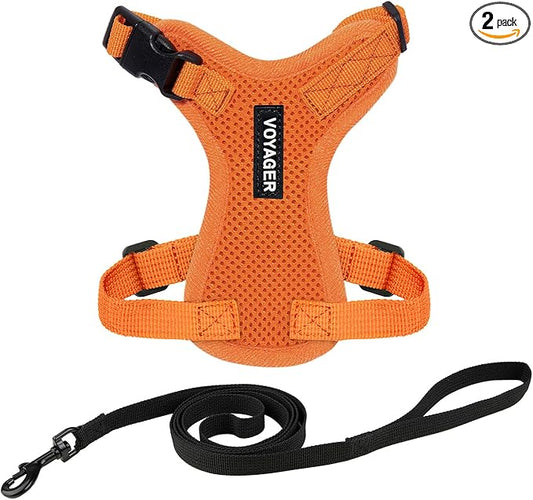 Voyager Escape-Proof Step-in Lock Cat Harness & 5ft Neoprene-Handle Leash Set by BestPetSuppliesLLC