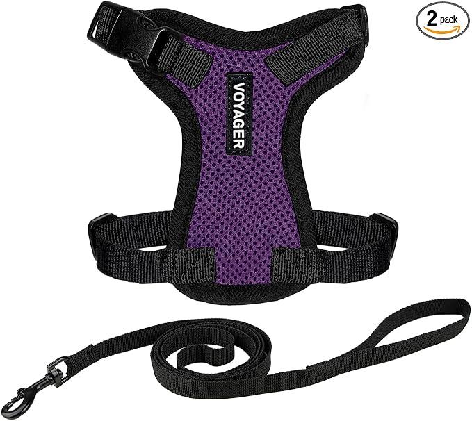 Voyager Escape-Proof Step-in Lock Cat Harness & 5ft Neoprene-Handle Leash Set by BestPetSuppliesLLC