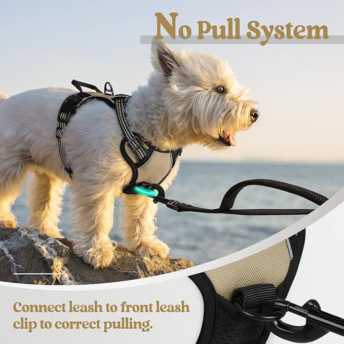 rabbitgoo Dog Harness No Pull - Image 5