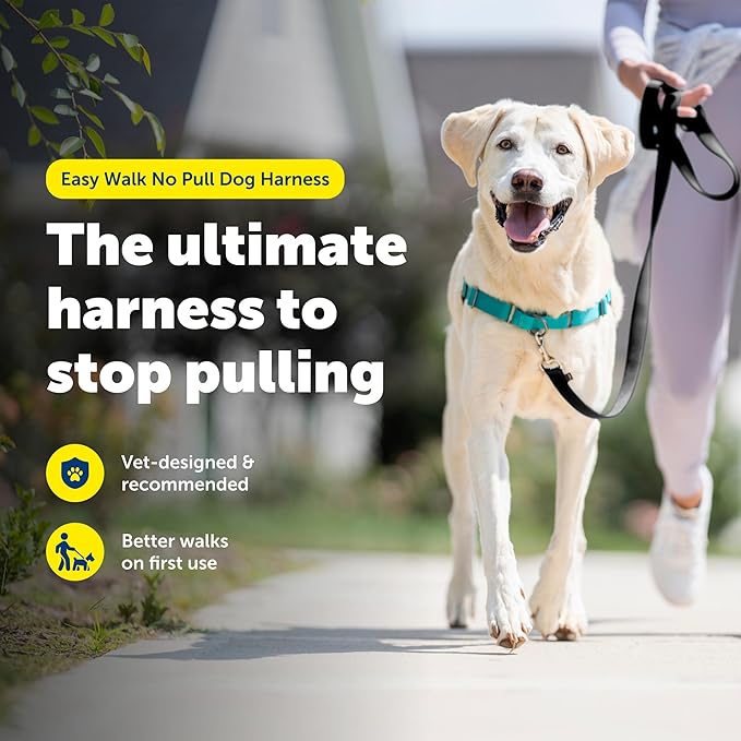 PetSafe Easy Walk No-Pull Dog Harness - Image 3