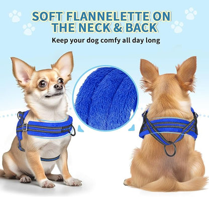Lukovee No Pull Dog Harness and Leash Set, Soft Padded Small Dog Harness - Image 5