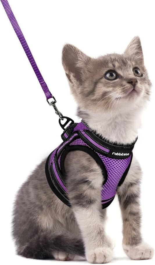 rabbitgoo Cat Harness and Leash, Step-in Escape Proof Kitten Harness Set by rabbitgoo