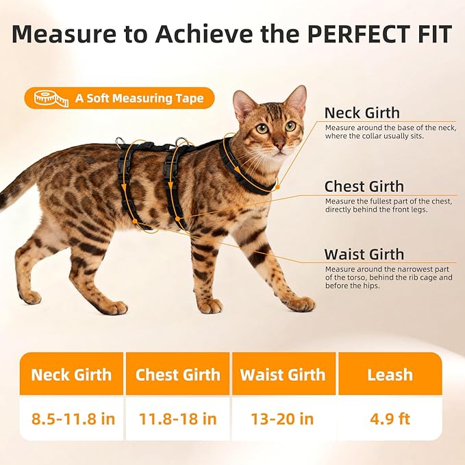 PUPTECK Cat Harness and Leash Set, Escape Proof Adjustable Kitten Harness - Image 2