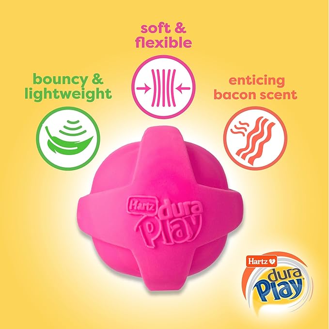 Hartz DuraPlay Bacon Scented Dog Toys, Large 1 Count, Colors May Vary - Image 3