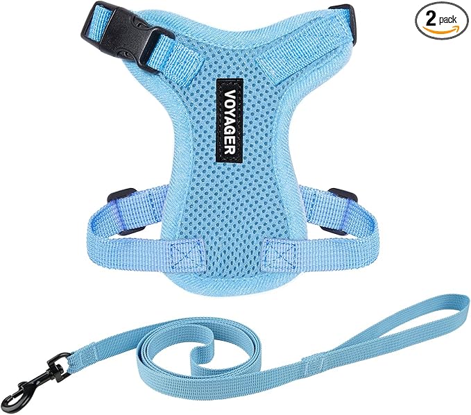 Voyager Escape-Proof Step-in Lock Cat Harness & 5ft Neoprene-Handle Leash Set by BestPetSuppliesLLC
