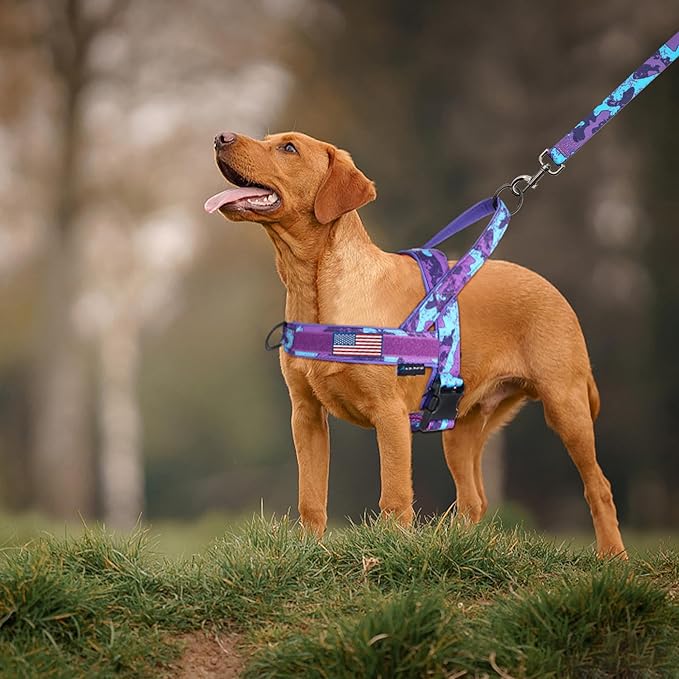 Annchwool No Pull Dog Harness - Image 6