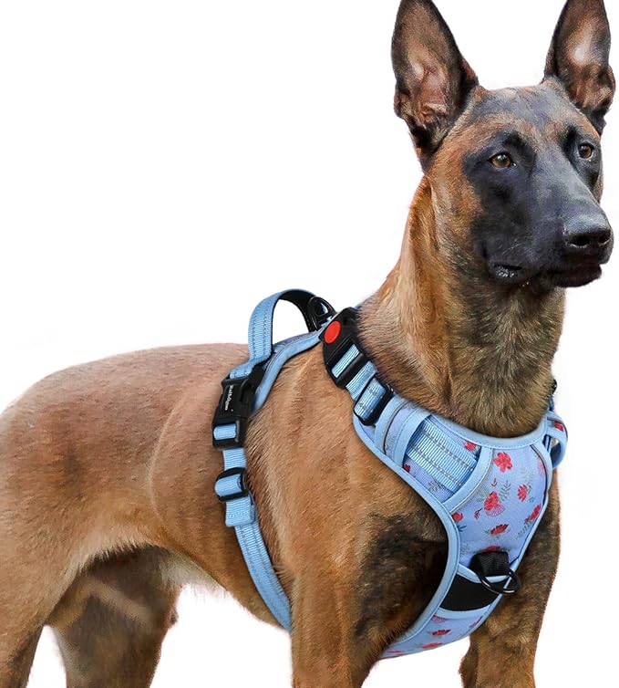 rabbitgoo Dog Harness for Large, No Pull Easy On & Off by rabbitgoo
