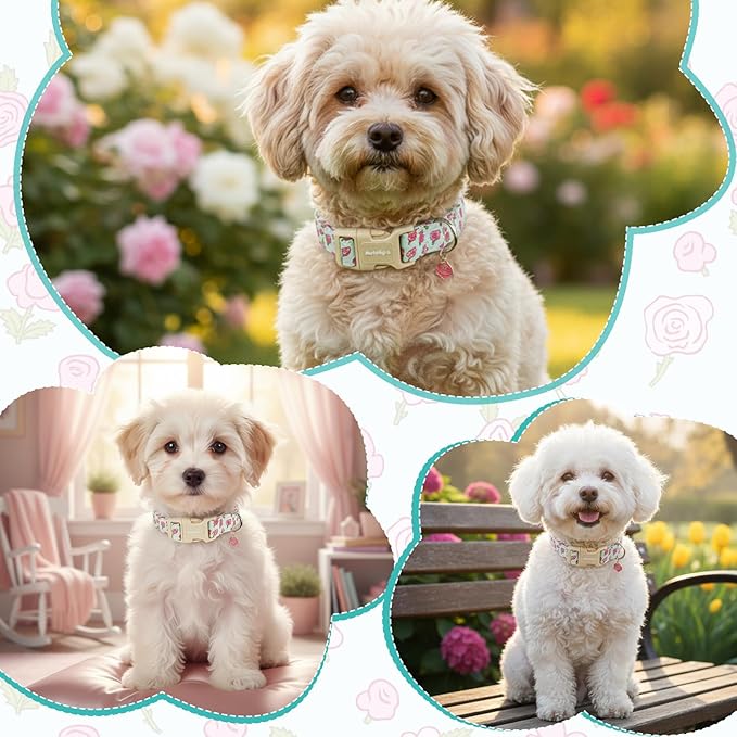 Dog Collar for Medium Dogs, Spring &Summer Theme Blue Medium Dog Collars - Image 4