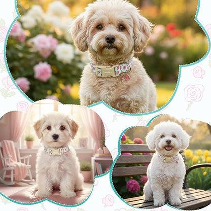 Dog Collar for Medium Dogs, Spring &Summer Theme Blue Medium Dog Collars - Image 4