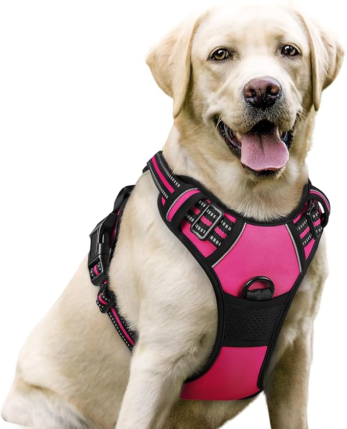 rabbitgoo Dog Harness No Pull by rabbitgoo