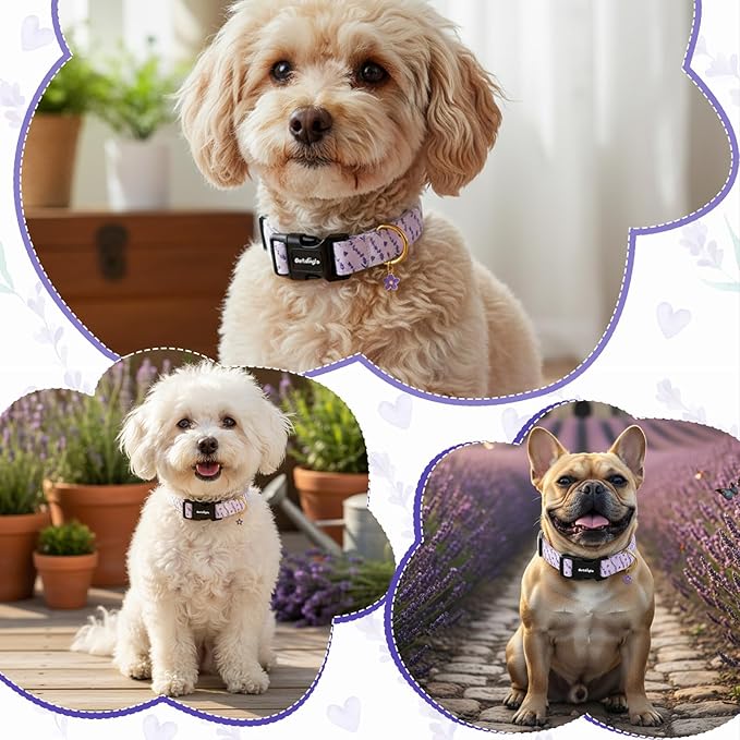 Dog Collar for Small Dogs, Spring Purple Dog Collars - Image 5