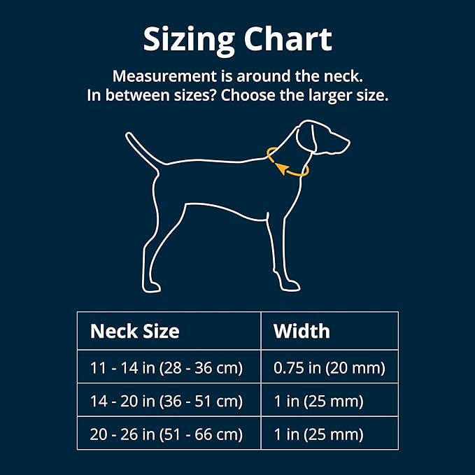 Ruffwear, Crag Dog Collar, Stylish Adventure Collar - Image 2