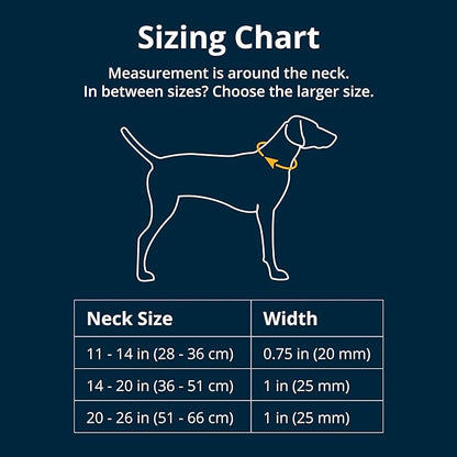 Ruffwear, Crag Dog Collar, Stylish Adventure Collar - Image 2