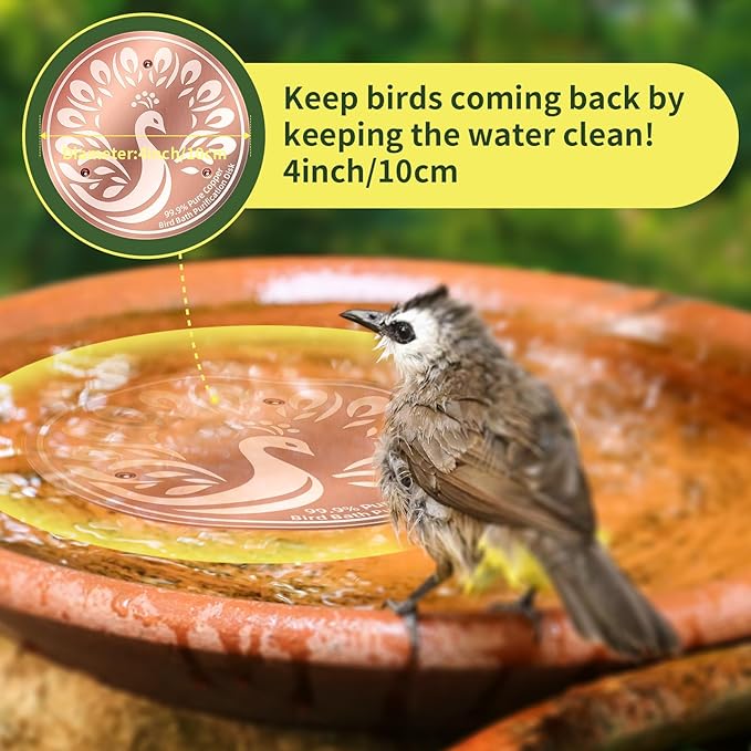 Bird Bath Cleaning Discs, 99.9% Pure Copper Triple-Point Support & Reinforced - Image 5