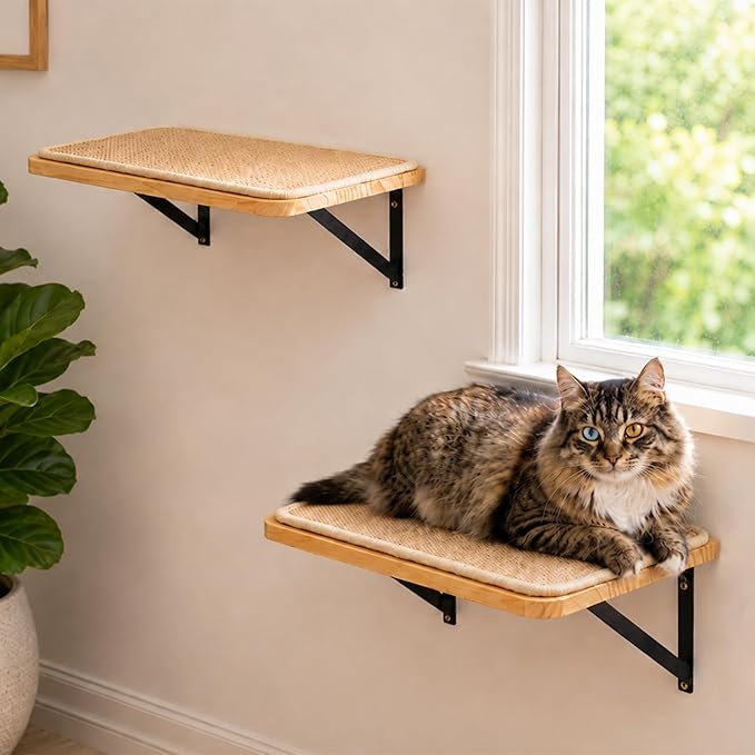 2PCS Cat Wall Shelves with Scratching Mat, 16.6x9.7 Inch Solid Pine Wood Wall by PELUOMOZ