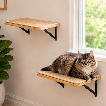 2PCS Cat Wall Shelves with Scratching Mat, 16.6x9.7 Inch Solid Pine Wood Wall by PELUOMOZ