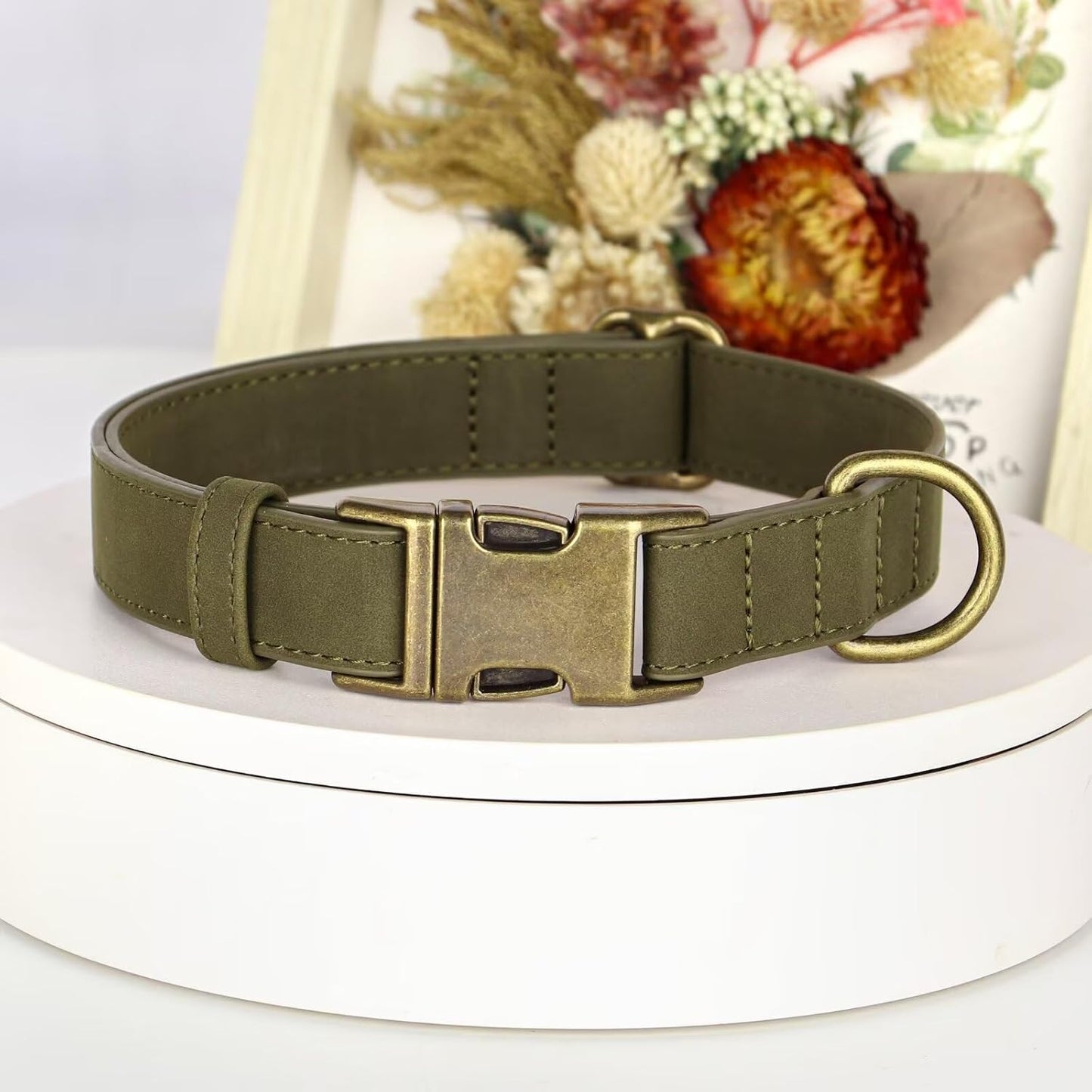 Didog Soft PU Leather Dog Collar, Stylish Quick Released Dog Collars for Medium Dogs, Easy Clean Adjustable Pet Collar for Daily Walking, Dark Green, M Fit 13-21" Neck