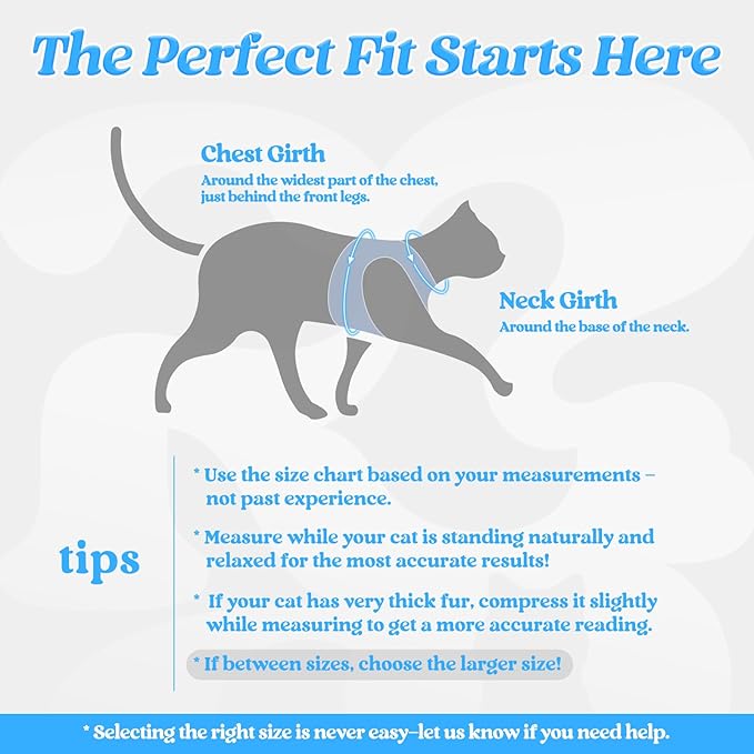 rabbitgoo Cat Harness and Leash, Step-in Escape Proof Kitten Harness Set - Image 2