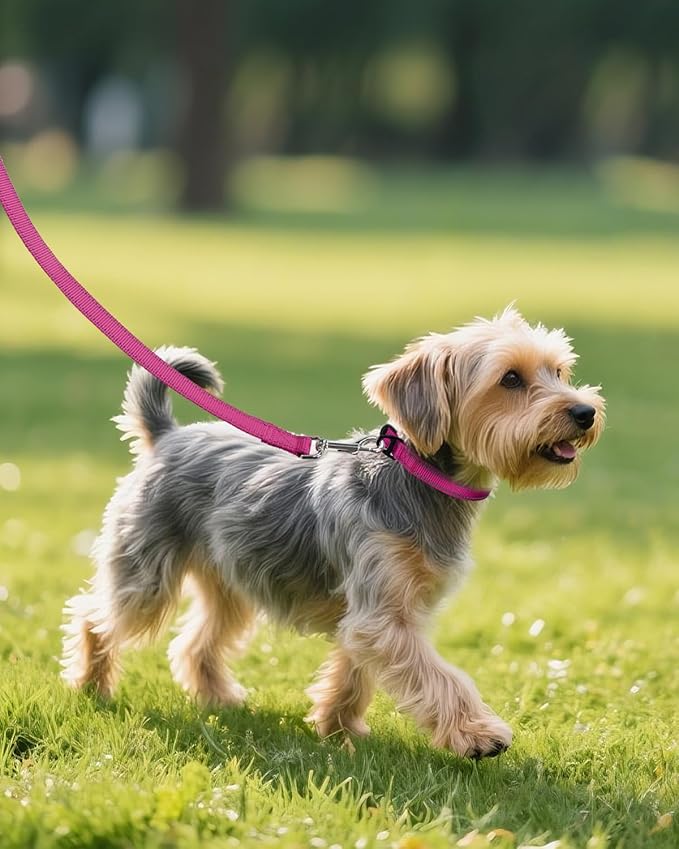 Joytale Dog Collars for Small Dogs, Feather-Light Double-Sided Reflective Nylon - Image 6