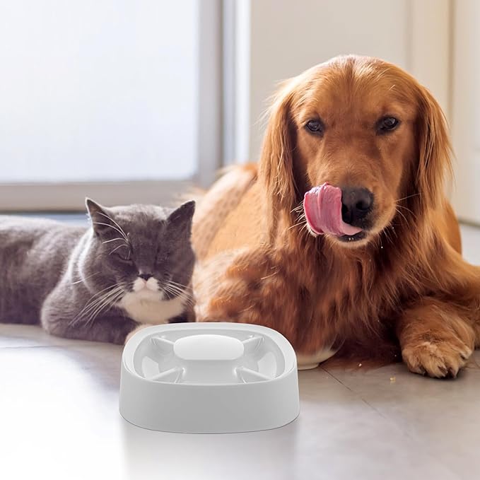 Milisten 4-in-1 Pet Feeder Bowl Set, Plastic Puppy Feeding Station - Image 8