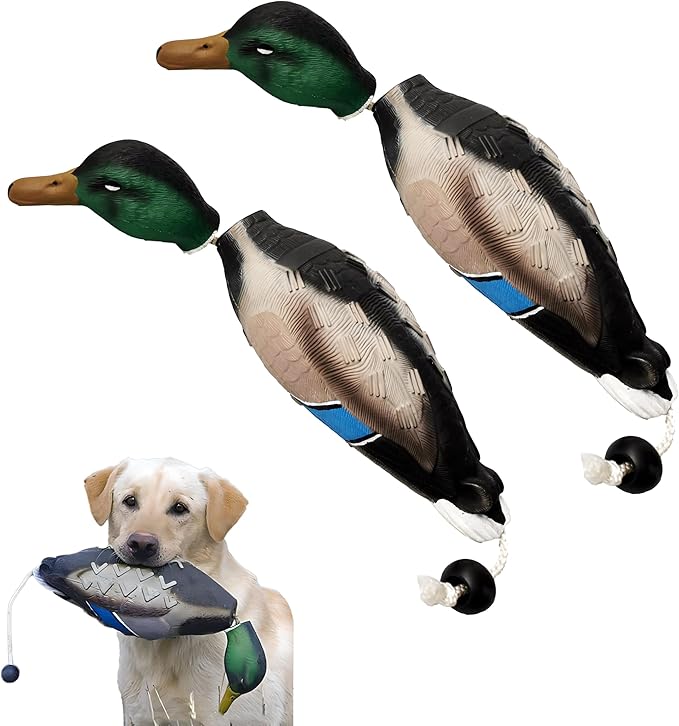 fingig 2 Pcs Duck Dummy Bumper Toys by Fingig