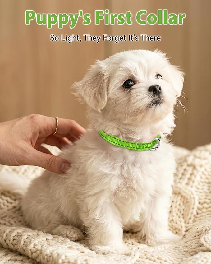 Joytale Puppy Collar, Feather-Light Double-Sided Reflective Nylon Collar - Image 2